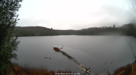 Image from 2024-11-05