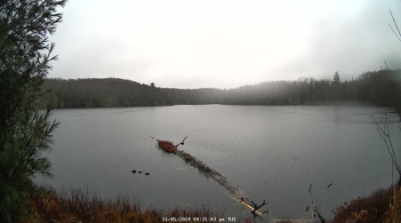 Image from 2024-11-05