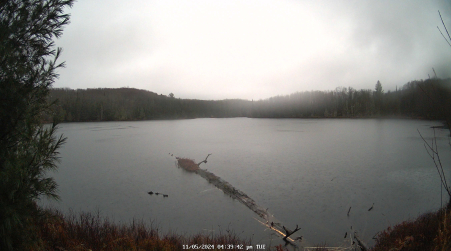 Image from 2024-11-05