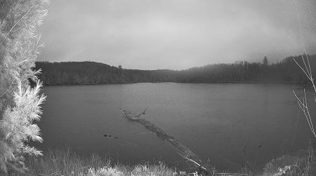 Image from 2024-11-05