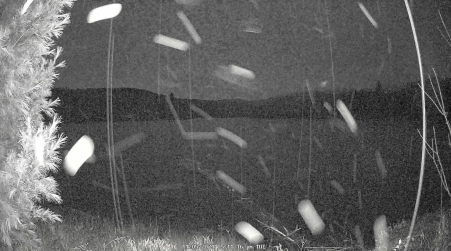 Image from 2024-11-05