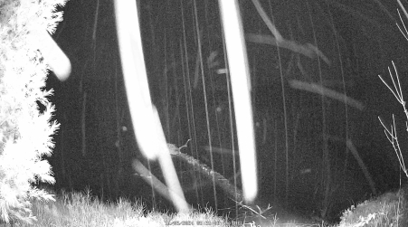 Image from 2024-11-05