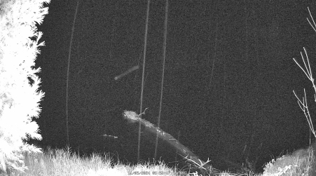 Image from 2024-11-05
