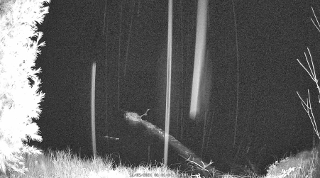 Image from 2024-11-05