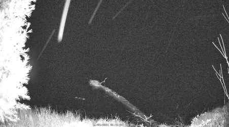 Image from 2024-11-05