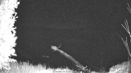 Image from 2024-11-05