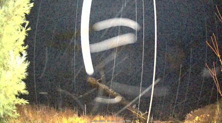 Image from 2024-11-05