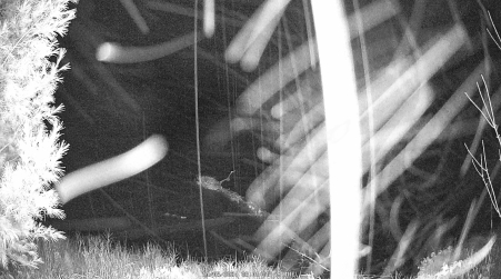Image from 2024-11-05