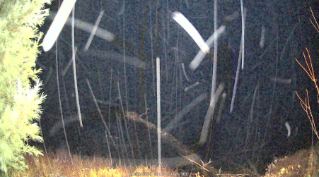 Image from 2024-11-05