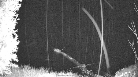 Image from 2024-11-05