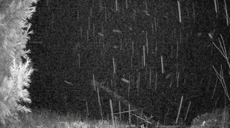 Image from 2024-11-05