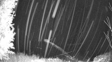 Image from 2024-11-05