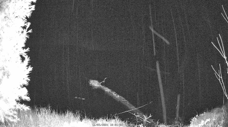 Image from 2024-11-05