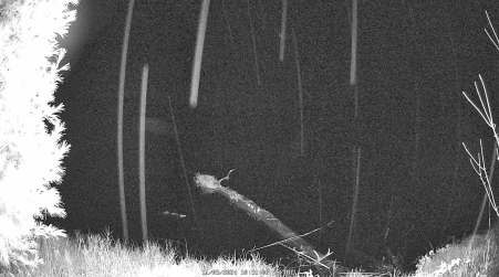 Image from 2024-11-05