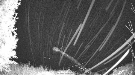 Image from 2024-11-05