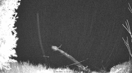 Image from 2024-11-05