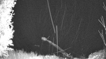 Image from 2024-11-06