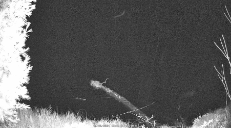 Image from 2024-11-06
