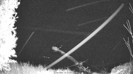 Image from 2024-11-06