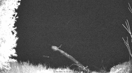 Image from 2024-11-06