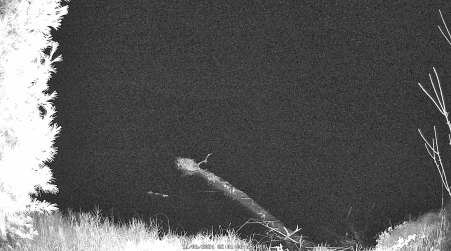Image from 2024-11-06