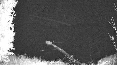 Image from 2024-11-06