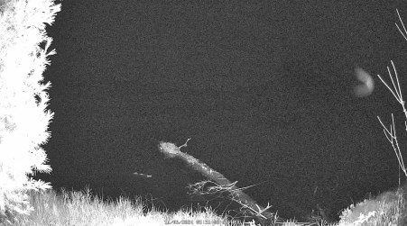 Image from 2024-11-06