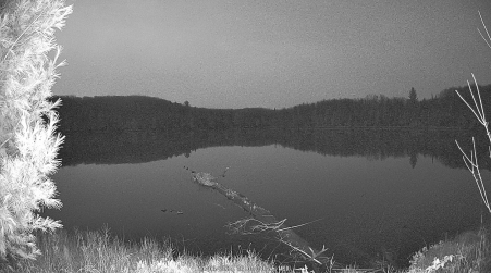 Image from 2024-11-06