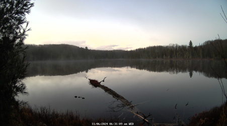 Image from 2024-11-06