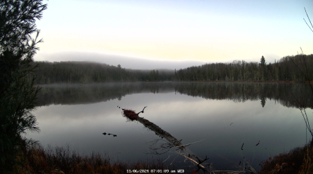 Image from 2024-11-06