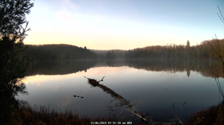 Image from 2024-11-06