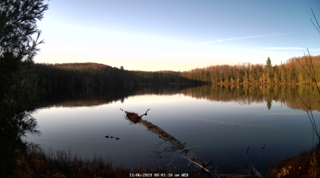 Image from 2024-11-06