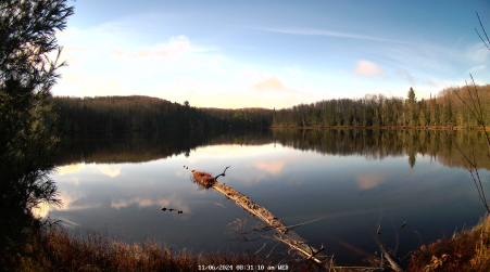 Image from 2024-11-06