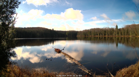 Image from 2024-11-06