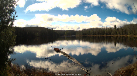 Image from 2024-11-06