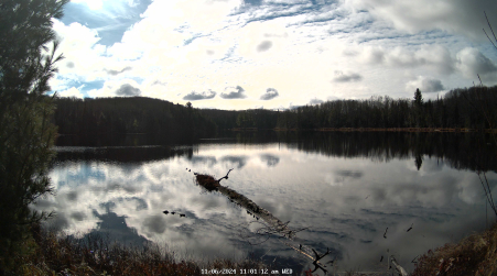 Image from 2024-11-06