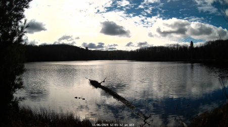 Image from 2024-11-06