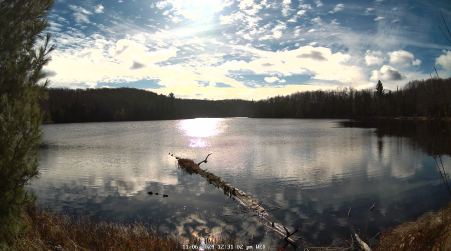 Image from 2024-11-06