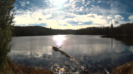 Image from 2024-11-06