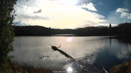 Image from 2024-11-06