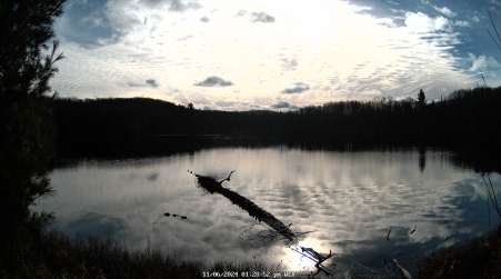 Image from 2024-11-06