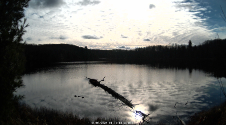 Image from 2024-11-06