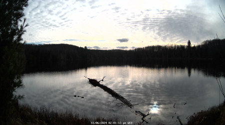 Image from 2024-11-06