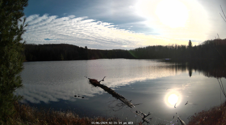 Image from 2024-11-06