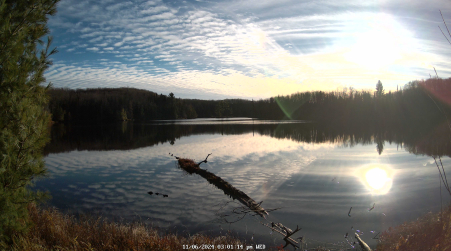 Image from 2024-11-06