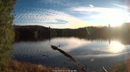 Image from 2024-11-06