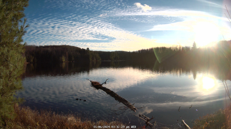 Image from 2024-11-06