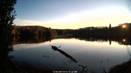 Image from 2024-11-06