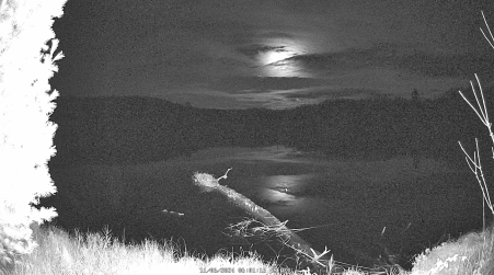 Image from 2024-11-06