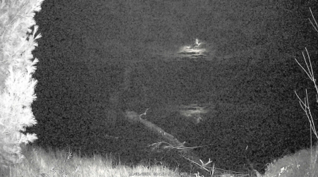 Image from 2024-11-06